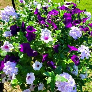 Meet your Posher, Katelin